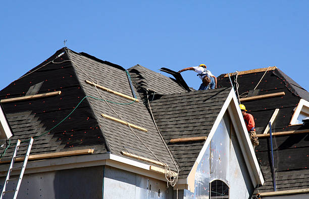 Best Roofing Contractor Near Me  in Fergus Falls, MN