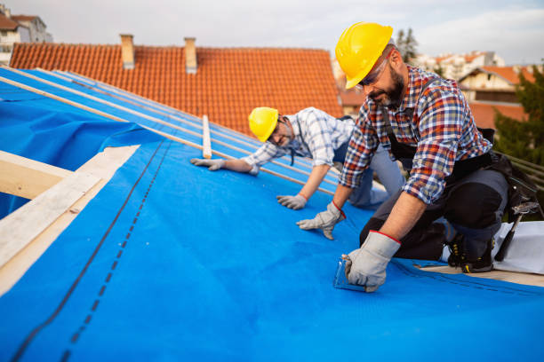 Best Roof Maintenance Services  in Fergus Falls, MN