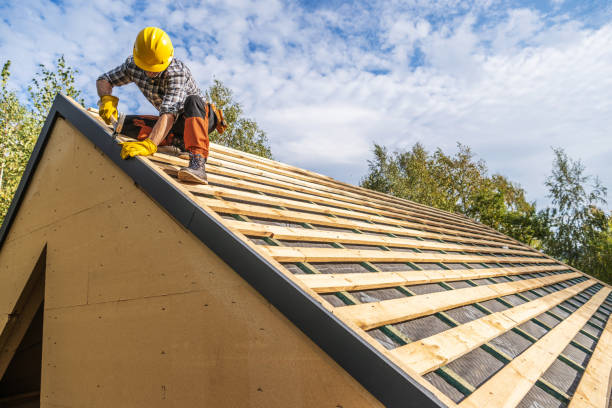 Best Best Roofing Contractors  in Fergus Falls, MN