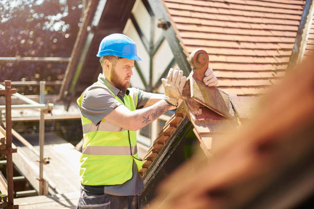 Best Gutter Installation and Roofing  in Fergus Falls, MN