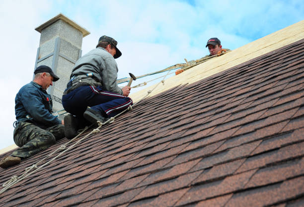 Best Commercial Roofing Services  in Fergus Falls, MN